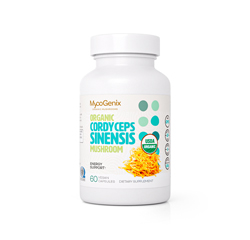 CORDYCEPS MUSHROOM 1000mg 60 Vegan Capsules (Organic)