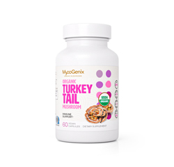 TURKEY TAIL MUSHROOM 1000mg 60 Vegan Capsules (Organic)