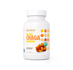 CHAGA MUSHROOM 1000mg 60 Vegan Capsules (Organic)