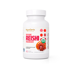 REISHI MUSHROOM 1000mg 60 Vegan Capsules (Organic)